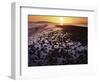 Sunrise, North Beach, Orcas Island, Washington, USA-Charles Gurche-Framed Photographic Print