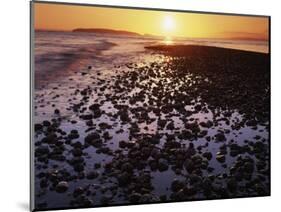 Sunrise, North Beach, Orcas Island, Washington, USA-Charles Gurche-Mounted Photographic Print