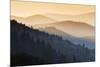 Sunrise, Oconaluftee Overlook, Great Smoky Mountains National Park, North Carolina, USA-null-Mounted Premium Photographic Print