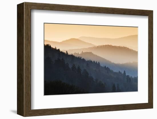 Sunrise, Oconaluftee Overlook, Great Smoky Mountains National Park, North Carolina, USA-null-Framed Photographic Print