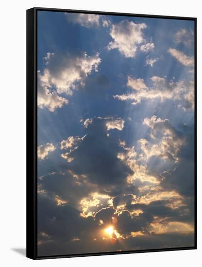 Sunrise, Okavango Delta, Botswana-Pete Oxford-Framed Stretched Canvas