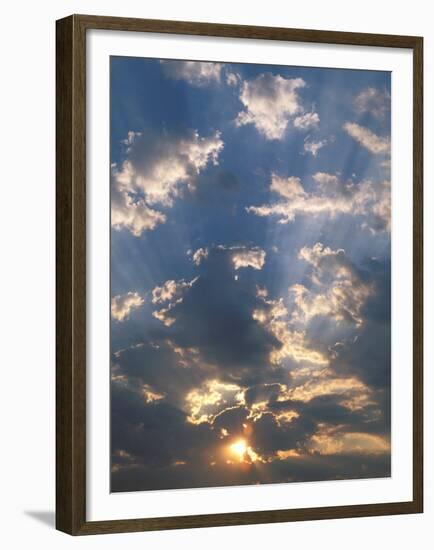 Sunrise, Okavango Delta, Botswana-Pete Oxford-Framed Premium Photographic Print