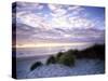 Sunrise on a Florida Beach-Carol Highsmith-Stretched Canvas