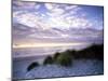 Sunrise on a Florida Beach-Carol Highsmith-Mounted Photo