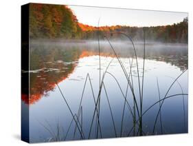 Sunrise on a Lake in Northern Maine.-Ian Shive-Stretched Canvas