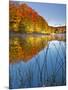 Sunrise on a Lake in Northern Maine.-Ian Shive-Mounted Photographic Print