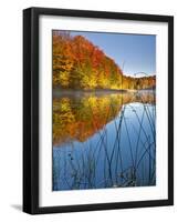 Sunrise on a Lake in Northern Maine.-Ian Shive-Framed Photographic Print