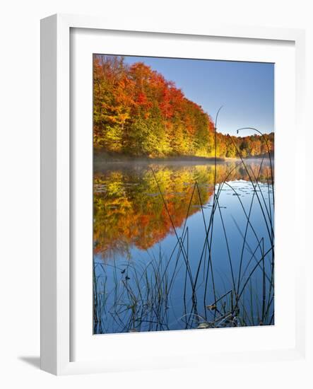 Sunrise on a Lake in Northern Maine.-Ian Shive-Framed Photographic Print