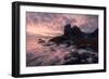 Sunrise on Beach-Leah Xu-Framed Photographic Print