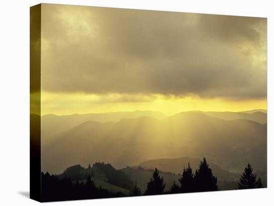 Sunrise on Belchen Mountain, Black Forest, Baden Wurttemberg, Germany, Europe-Marcus Lange-Stretched Canvas