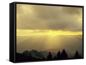 Sunrise on Belchen Mountain, Black Forest, Baden Wurttemberg, Germany, Europe-Marcus Lange-Framed Stretched Canvas