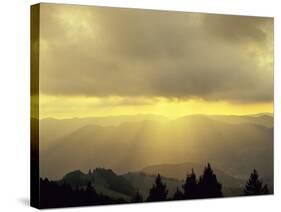 Sunrise on Belchen Mountain, Black Forest, Baden Wurttemberg, Germany, Europe-Marcus Lange-Stretched Canvas