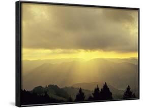 Sunrise on Belchen Mountain, Black Forest, Baden Wurttemberg, Germany, Europe-Marcus Lange-Framed Photographic Print