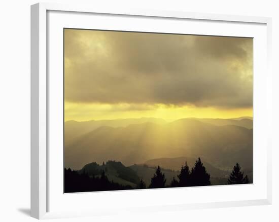 Sunrise on Belchen Mountain, Black Forest, Baden Wurttemberg, Germany, Europe-Marcus Lange-Framed Photographic Print
