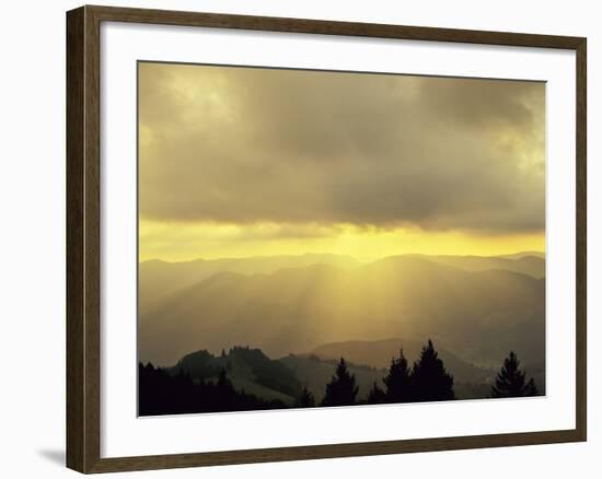 Sunrise on Belchen Mountain, Black Forest, Baden Wurttemberg, Germany, Europe-Marcus Lange-Framed Photographic Print