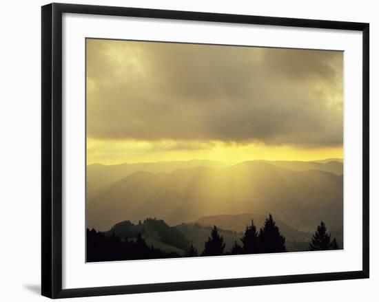 Sunrise on Belchen Mountain, Black Forest, Baden Wurttemberg, Germany, Europe-Marcus Lange-Framed Photographic Print