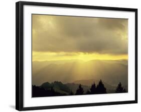 Sunrise on Belchen Mountain, Black Forest, Baden Wurttemberg, Germany, Europe-Marcus Lange-Framed Photographic Print