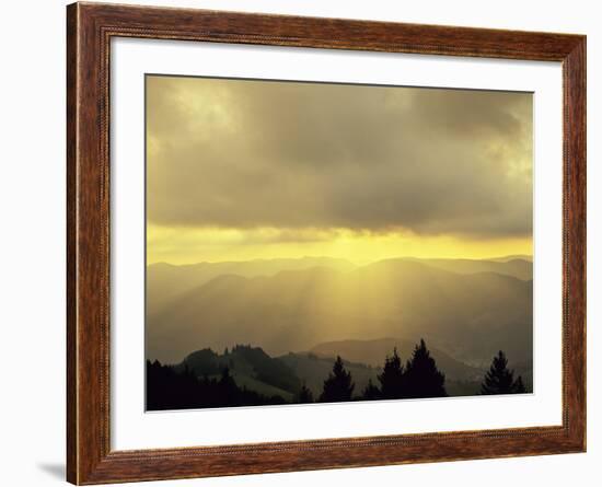 Sunrise on Belchen Mountain, Black Forest, Baden Wurttemberg, Germany, Europe-Marcus Lange-Framed Photographic Print