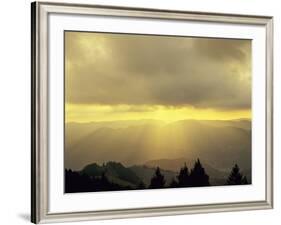 Sunrise on Belchen Mountain, Black Forest, Baden Wurttemberg, Germany, Europe-Marcus Lange-Framed Photographic Print