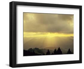 Sunrise on Belchen Mountain, Black Forest, Baden Wurttemberg, Germany, Europe-Marcus Lange-Framed Photographic Print