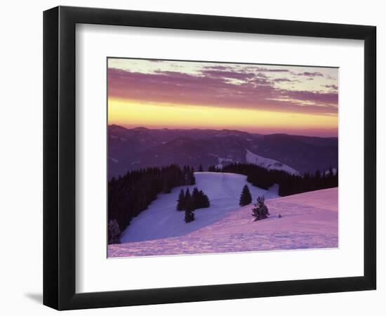 Sunrise on Belchen Mountain in Winter, Black Forest, Baden Wurttemberg, Germany, Europe-Marcus Lange-Framed Photographic Print