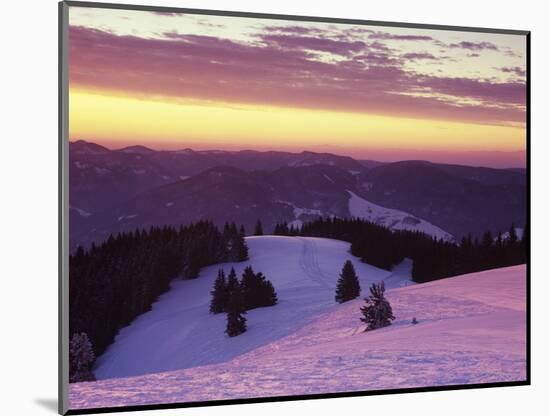 Sunrise on Belchen Mountain in Winter, Black Forest, Baden Wurttemberg, Germany, Europe-Marcus Lange-Mounted Photographic Print