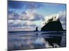 Sunrise on coast, Olympic National Park, Washington, USA-Charles Gurche-Mounted Premium Photographic Print