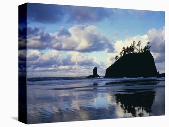 Sunrise on coast, Olympic National Park, Washington, USA-Charles Gurche-Stretched Canvas