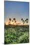 Sunrise on El Palmar National Park, Argentina-Anibal Trejo-Mounted Photographic Print