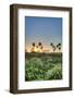 Sunrise on El Palmar National Park, Argentina-Anibal Trejo-Framed Photographic Print