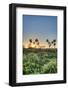 Sunrise on El Palmar National Park, Argentina-Anibal Trejo-Framed Photographic Print