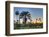 Sunrise on El Palmar National Park, Argentina-Anibal Trejo-Framed Photographic Print