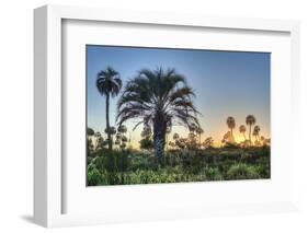 Sunrise on El Palmar National Park, Argentina-Anibal Trejo-Framed Photographic Print