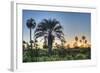 Sunrise on El Palmar National Park, Argentina-Anibal Trejo-Framed Photographic Print