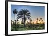 Sunrise on El Palmar National Park, Argentina-Anibal Trejo-Framed Photographic Print