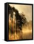 Sunrise on Fairy Stone Lake, Fairy Stone State Park, Virginia, USA-Charles Gurche-Framed Stretched Canvas