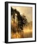 Sunrise on Fairy Stone Lake, Fairy Stone State Park, Virginia, USA-Charles Gurche-Framed Photographic Print