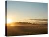 Sunrise on Field of Green Grass with Douglas Firs and Mount Rainier, Vashon Island, Washington, USA-Aaron McCoy-Stretched Canvas