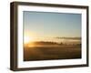 Sunrise on Field of Green Grass with Douglas Firs and Mount Rainier, Vashon Island, Washington, USA-Aaron McCoy-Framed Photographic Print