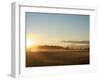 Sunrise on Field of Green Grass with Douglas Firs and Mount Rainier, Vashon Island, Washington, USA-Aaron McCoy-Framed Photographic Print