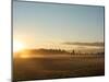 Sunrise on Field of Green Grass with Douglas Firs and Mount Rainier, Vashon Island, Washington, USA-Aaron McCoy-Mounted Photographic Print