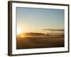 Sunrise on Field of Green Grass with Douglas Firs and Mount Rainier, Vashon Island, Washington, USA-Aaron McCoy-Framed Photographic Print