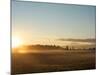 Sunrise on Field of Green Grass with Douglas Firs and Mount Rainier, Vashon Island, Washington, USA-Aaron McCoy-Mounted Photographic Print