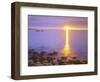 Sunrise on Fog and Shore Rocks on the Atlantic Ocean, Acadia National Park, Maine, USA-Christopher Talbot Frank-Framed Photographic Print