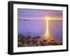 Sunrise on Fog and Shore Rocks on the Atlantic Ocean, Acadia National Park, Maine, USA-Christopher Talbot Frank-Framed Photographic Print