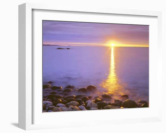 Sunrise on Fog and Shore Rocks on the Atlantic Ocean, Acadia National Park, Maine, USA-Christopher Talbot Frank-Framed Photographic Print