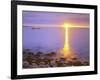 Sunrise on Fog and Shore Rocks on the Atlantic Ocean, Acadia National Park, Maine, USA-Christopher Talbot Frank-Framed Photographic Print