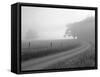 Sunrise on Foggy Frosty Morning, Cades Cove, Great Smoky Mountains National Park, Tennessee, Usa-Adam Jones-Framed Stretched Canvas