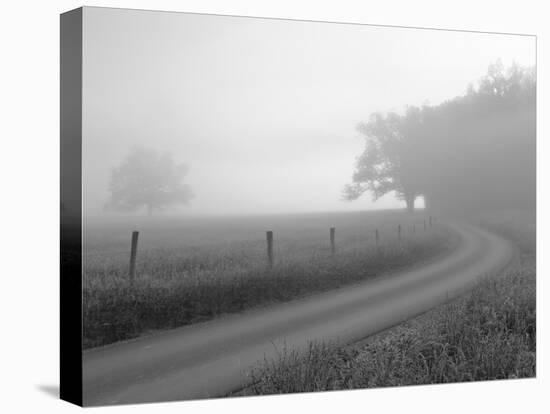 Sunrise on Foggy Frosty Morning, Cades Cove, Great Smoky Mountains National Park, Tennessee, Usa-Adam Jones-Stretched Canvas