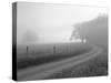 Sunrise on Foggy Frosty Morning, Cades Cove, Great Smoky Mountains National Park, Tennessee, Usa-Adam Jones-Stretched Canvas